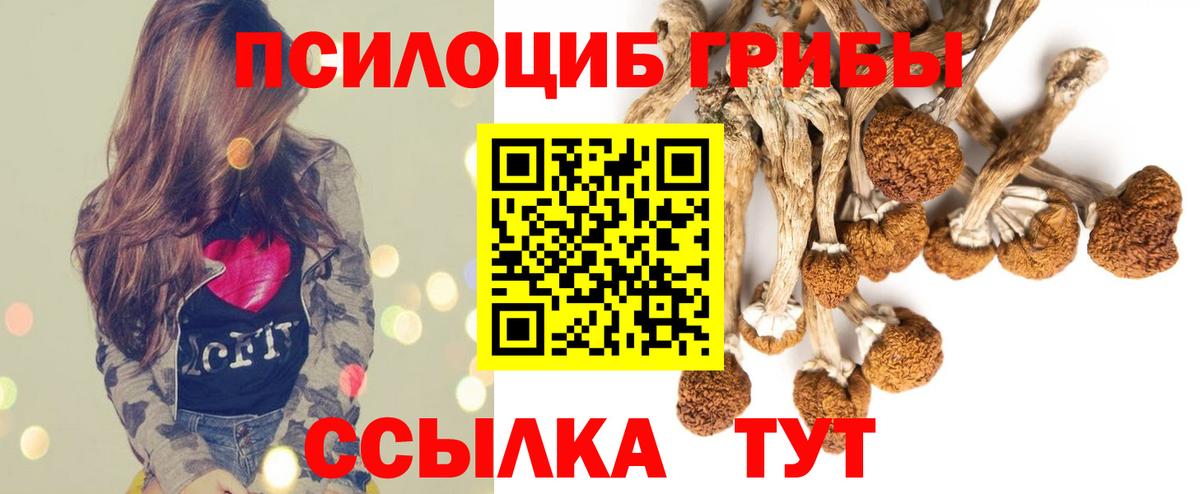 купить закладку  Псилоцибиновые грибы прущие грибы  Лесосибирск  Вход с VPN  Псилоцибиновые грибы Psilocybe 